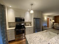 62 Silver Birch