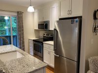 62 Silver Birch