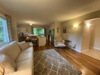 62 Silver Birch