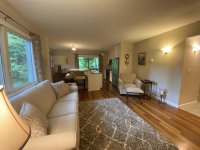 62 Silver Birch