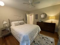 62 Silver Birch