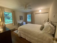 62 Silver Birch