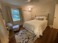 62 Silver Birch