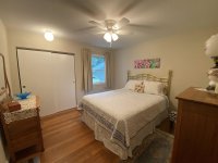 62 Silver Birch