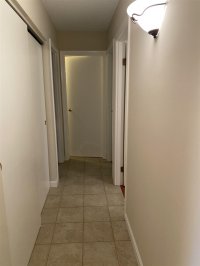 62 Silver Birch