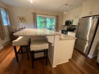 62 Silver Birch