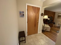 62 Silver Birch