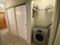 62 Silver Birch