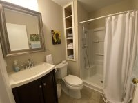 62 Silver Birch