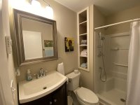 62 Silver Birch