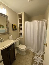 62 Silver Birch