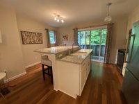 62 Silver Birch