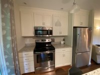 62 Silver Birch