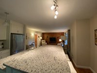 62 Silver Birch
