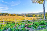 994 Sugarwood Hill