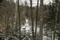 636 Johnson Farm