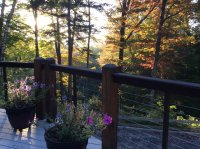 636 Johnson Farm