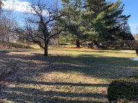 50 Piedmont Pond