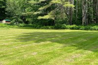 54 Tamarack