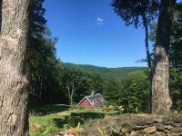 343 Spruce