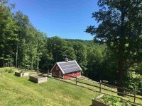 343 Spruce