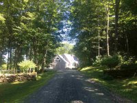 343 Spruce