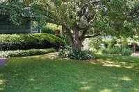 144 Harrington