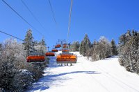 375 Hawk Spur
