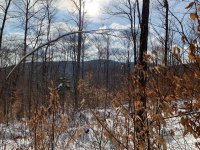 S-1B Great Roaring Brook