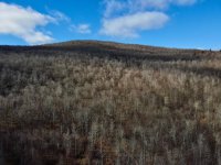 S-1B Great Roaring Brook
