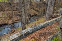 4165 Hartland Hill