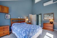 493 Cricket Hill