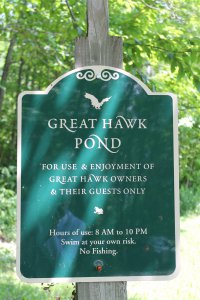 153 Osprey Great Hawk