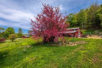 282 Fletcher Hill