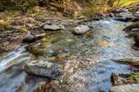 2646 Curtis Hollow