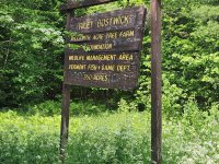2421 Bethel Mountain