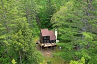 730 Maple Hill Great Hawk Colony