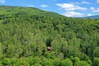 730 Maple Hill Great Hawk Colony