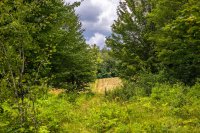 Old Bridgewater Hill