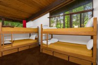 515 Tanglewood
