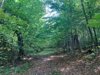 1747 Long Hill
