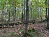 1747 Long Hill