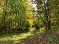 1747 Long Hill