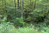 887 Maple Hill