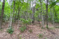 887 Maple Hill