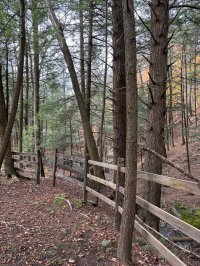 3752 Densmore Hill