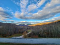 283 Sunrise Birches