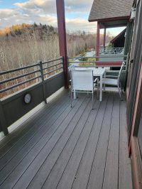 283 Sunrise Birches