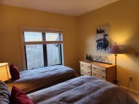 283 Sunrise Birches