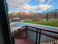 283 Sunrise Birches